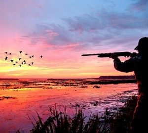 Picture of Best Duck Hunting Location