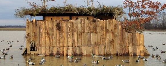 Picture of Duck Blinds